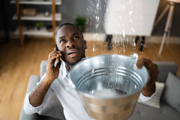 Best Water damage cleanup near me  in Purvis, MS