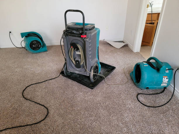 Best Ceiling water damage repair  in Purvis, MS