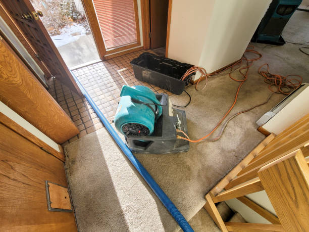 Best Professional water damage repair  in Purvis, MS