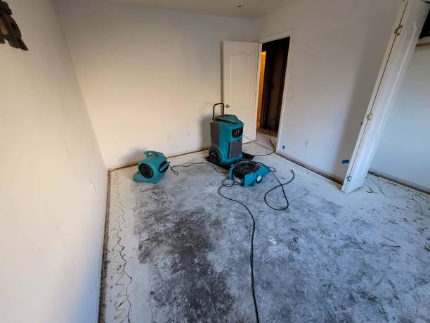 Best Flood restoration services  in Purvis, MS