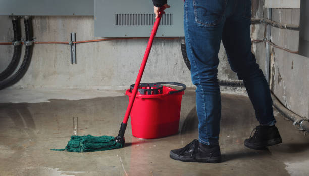Best Mold removal after water damage  in Purvis, MS