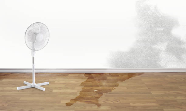 Water damage restoration insurance claims in MS