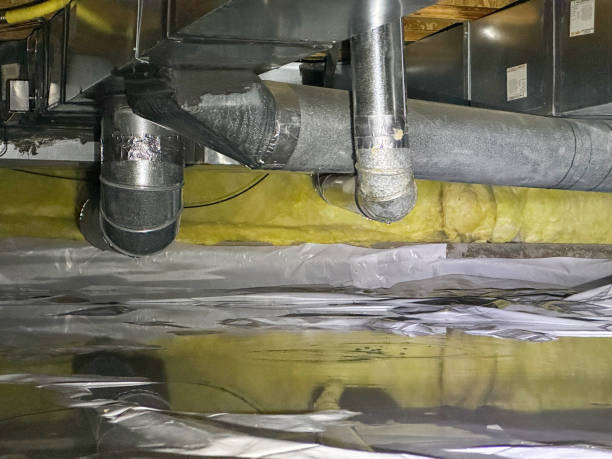 Best Sewage cleanup and water damage restoration  in Purvis, MS