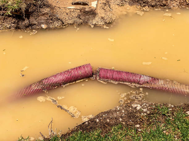 Best Water damage restoration insurance claims  in Purvis, MS