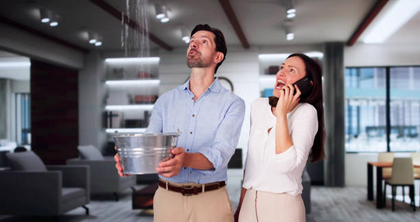 Best Local water damage restoration  in Purvis, MS