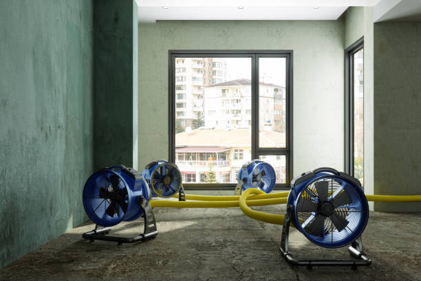 Best Ceiling water damage repair  in Purvis, MS