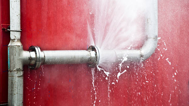Best Water damage restoration near me  in Purvis, MS